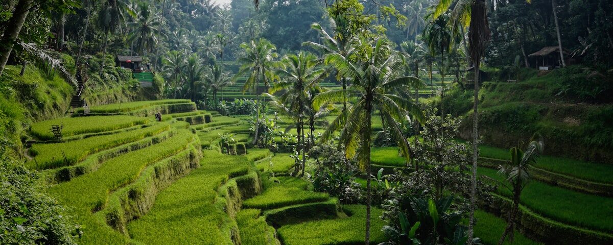 NN Marathon Rotterdam met uitzicht op de Erasmusbrug